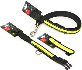 Bild på Active Canis Led Pet Collar Black/Green