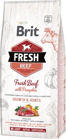 Bild på Brit Fresh Beef with Pumpkin Puppy Large 12 kg