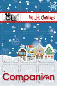 Bild på Companion Advent Calendar for Dogs 100 g
