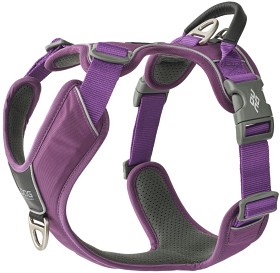 Bild på DOG Copenhagen Comfort Walk Pro Harness Purple Passion XS