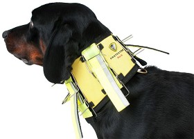 Bild på Dogtech Neck (2021)