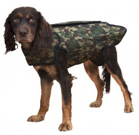 Bild på DogTech Retriever Neoprenväst (2019)