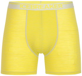 Bild på Icebreaker M's Anatomica Boxers Ether/Shine/S