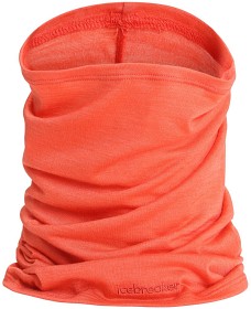 Bild på Icebreaker Unisex Cool-Lite Flexi Chute Vibrant Earth