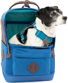 Bild på Kurgo Nomad Carrier Backpack Blue