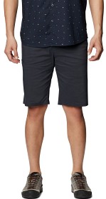 Bild på Mountain Hardwear M's Ap Short Dark Storm