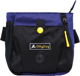Bild på OllyDog Backcountry DayBag Atlantic
