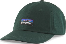 Bild på Patagonia P-6 Label Trad Cap Northern Green