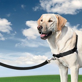 Bild på Petsafe Easywalk Antidrag Hundsele S 38-51 cm