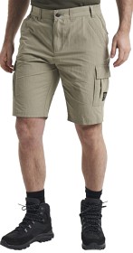 Bild på Tenson M's Thad Shorts Coriander