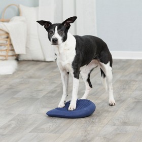 Bild på Trixie Dog Activity Balansdyna 28 cm