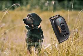 Bild på WeHunt GPS Dog Tracker II