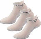 Avignon Merinostrumpor Sneaker Low 3-pack Vit