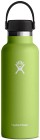 Hydroflask Std Flex 18oz (532ml) Seagrass