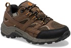 Merrell Kids Moab 2 Low Lace Waterproof Earth