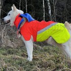 Mikael Tham Tuskproof Wolf Orange XS