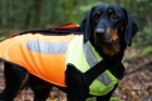 Pinewood BoarProtec Dog Cut-Protect Vest M