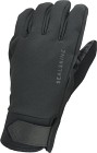 Sealskinz Waterproof All Weather Insulated Glove Black