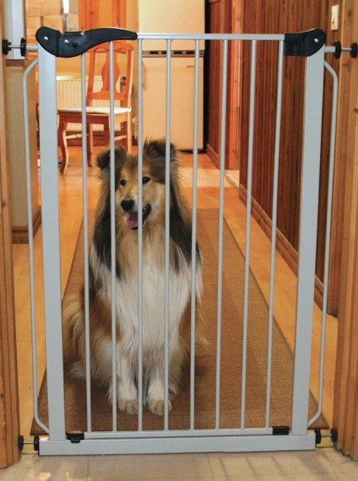 Köp Dog Security Gate 105 cm på widforss.se